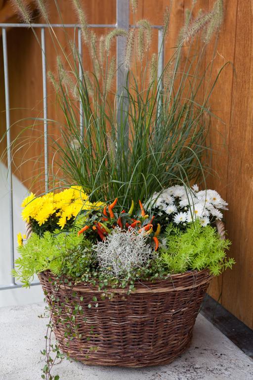 B&B Ferienhof Am See Willerzell 部屋 写真