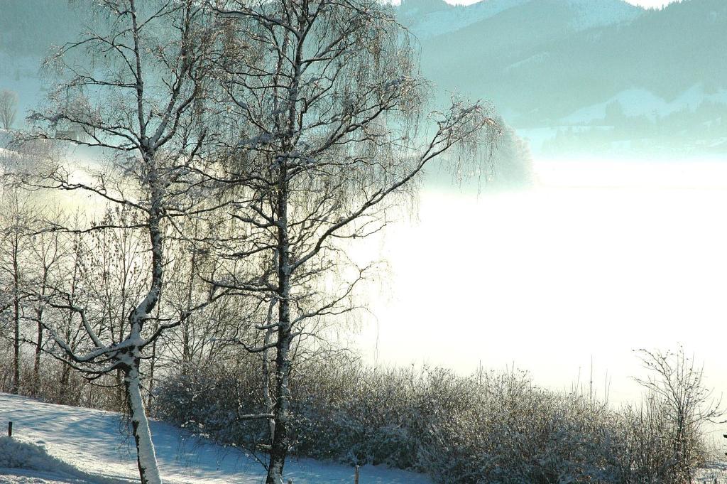B&B Ferienhof Am See Willerzell エクステリア 写真