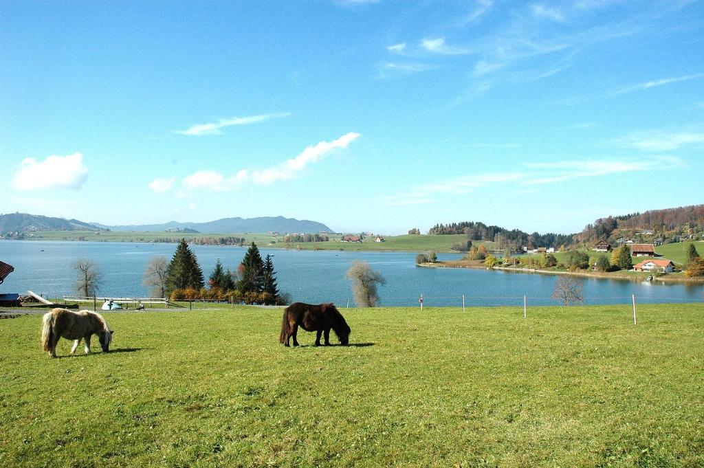 B&B Ferienhof Am See Willerzell エクステリア 写真